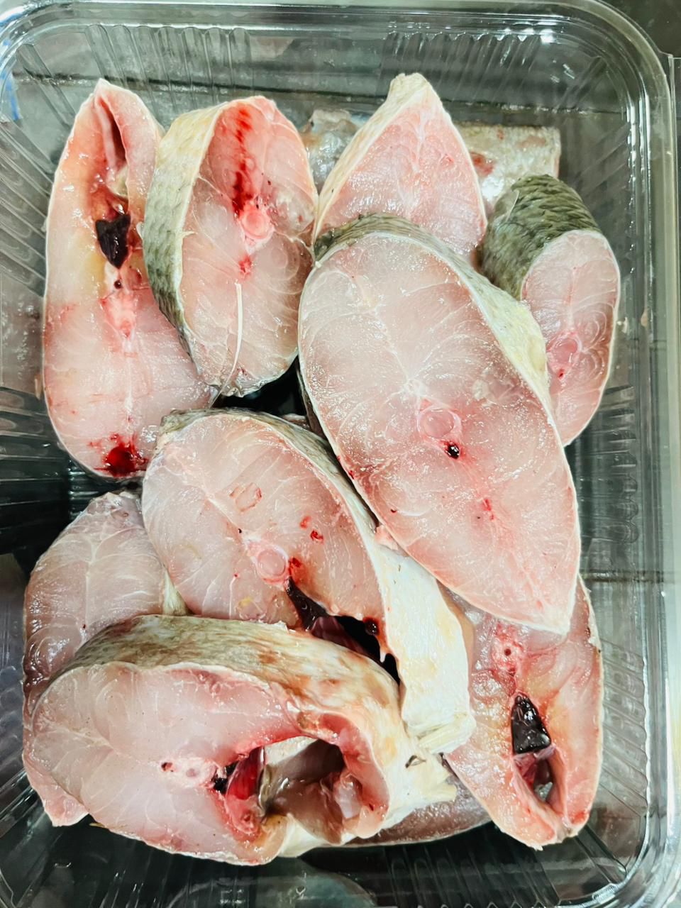 Rawas ( indian selmon ) 